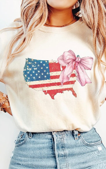 USA Flag Country