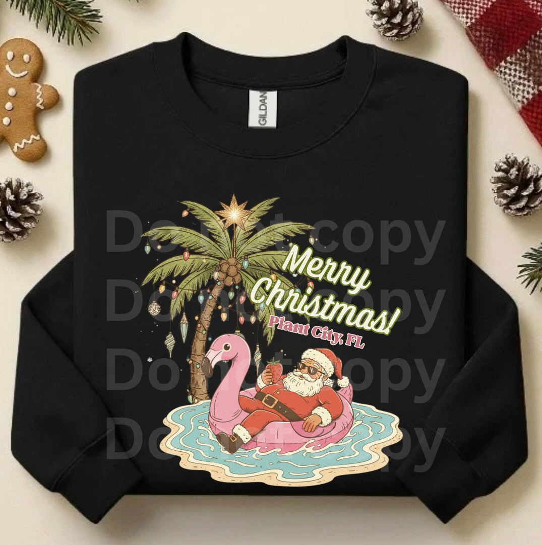 Merry Christmas from Plant City Fl