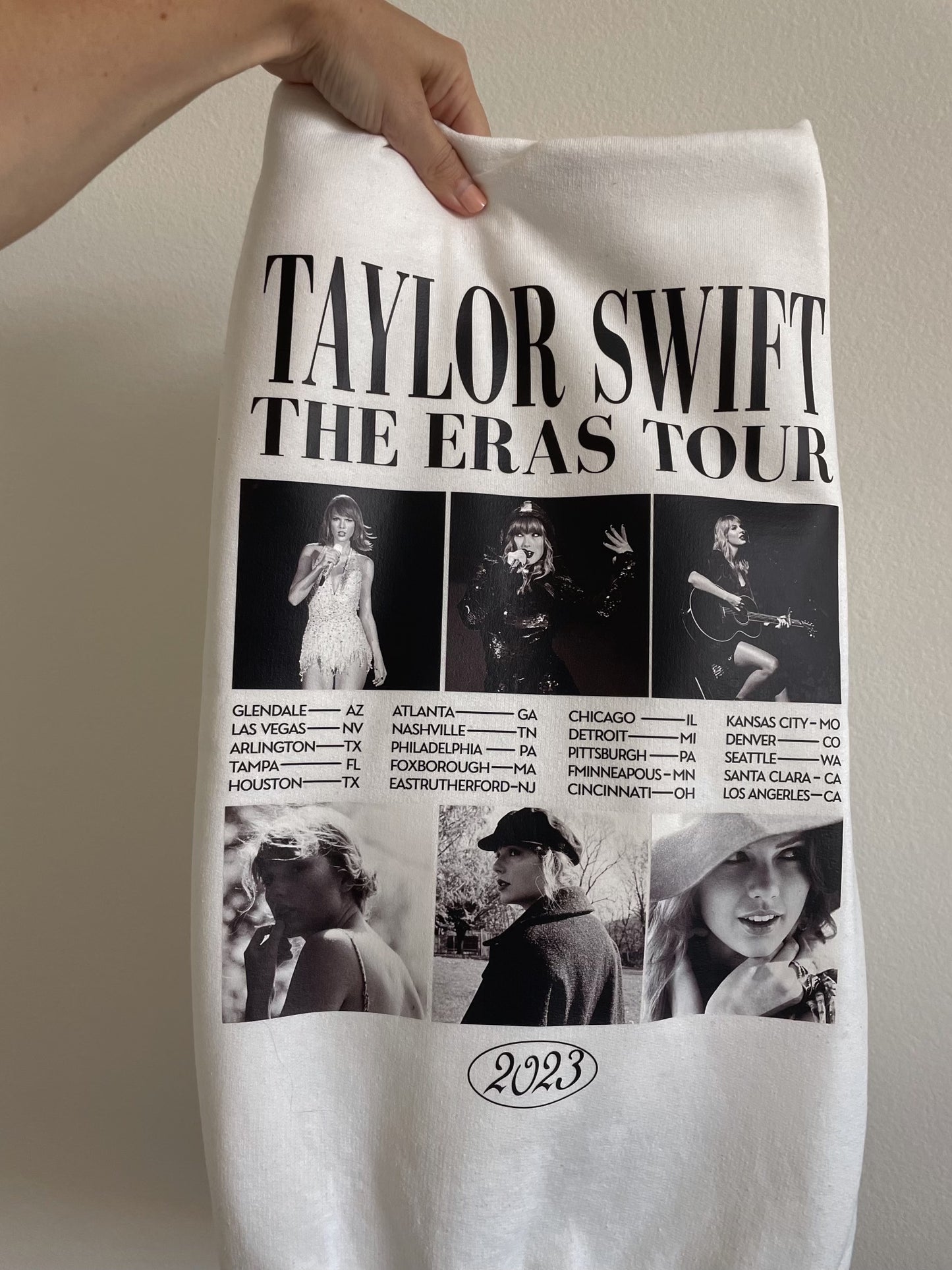 T-Swift Eras Tour Hoodie